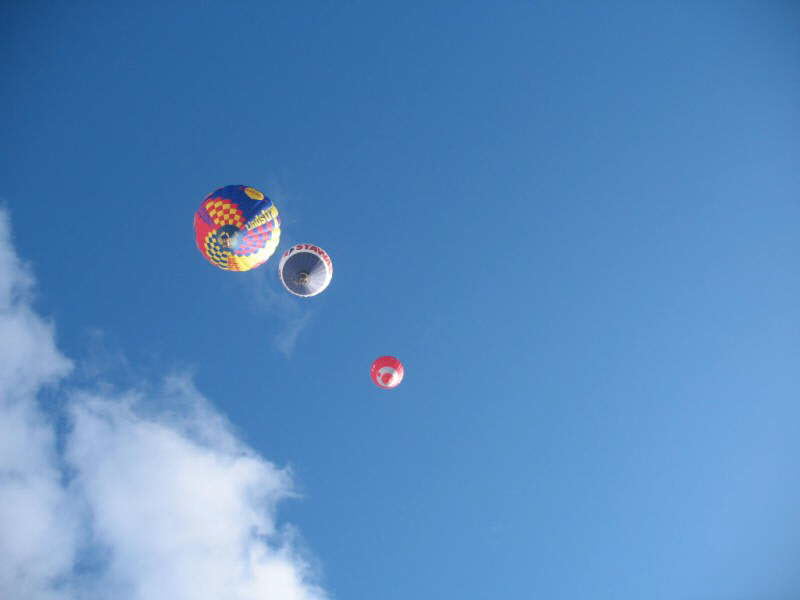 db_IMG_96883